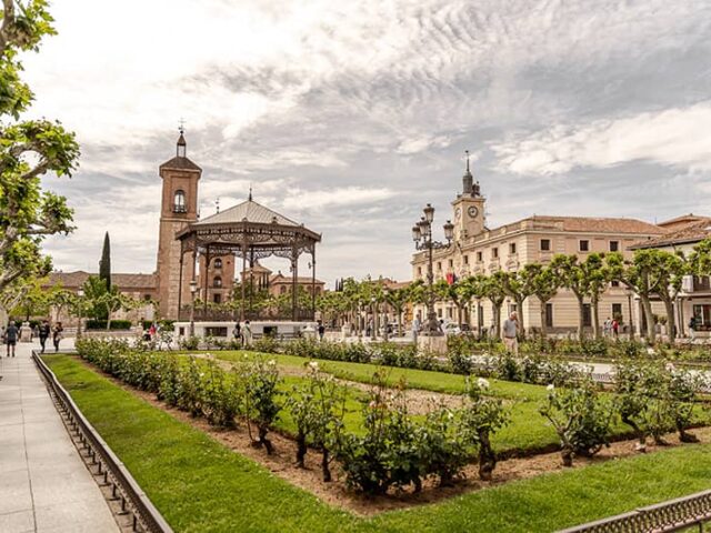 rotulación de vehículo en Alcalá de Henares