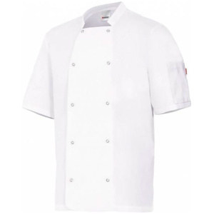 chaqueta cocinero con automaticos manga corta velilla 405205