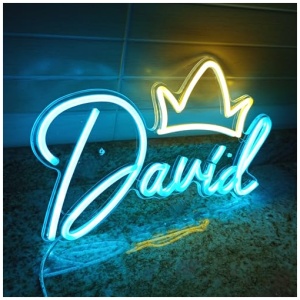 Letrero de neon led personalizado cartel personalizable con nombre Regalo Fiesta de cumpleanos Santo Bautizo Boda Dormitorio Tienda Nombre Logo Celebracion decoracion 0 0